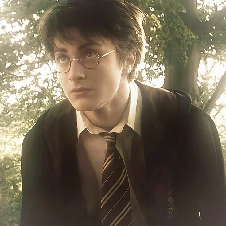 Harry James Potter