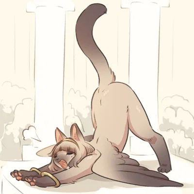The Sphinx