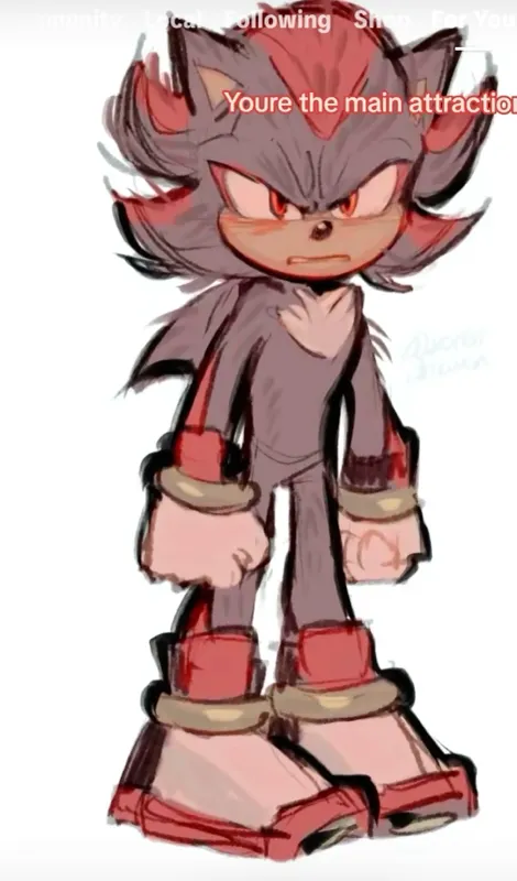 Shadow the hedgehog 🦔 