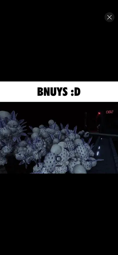 BNUYS :]