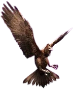 Poukadei (from JWTG)