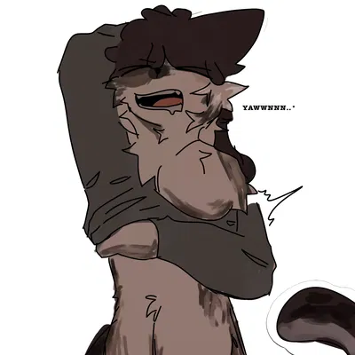 ~ || SleepyHead ⋆ ̇⟡
