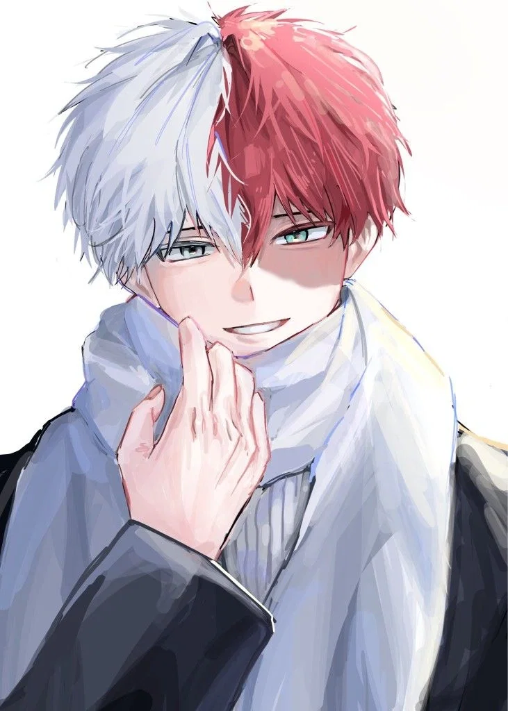 Shoto Todoroki