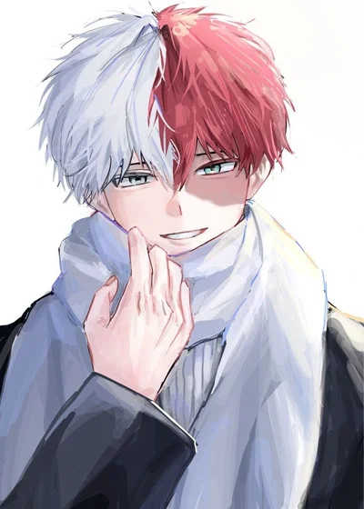 Shoto Todoroki