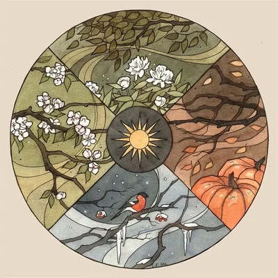 The four seasons