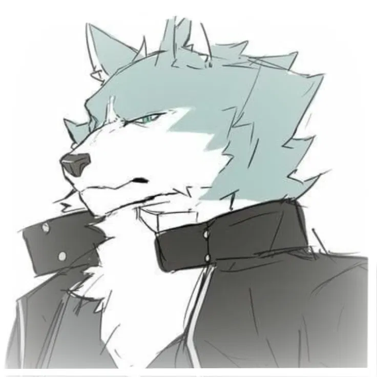 Shirou Ogami // BNA