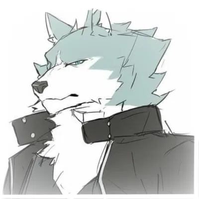 Shirou Ogami // BNA