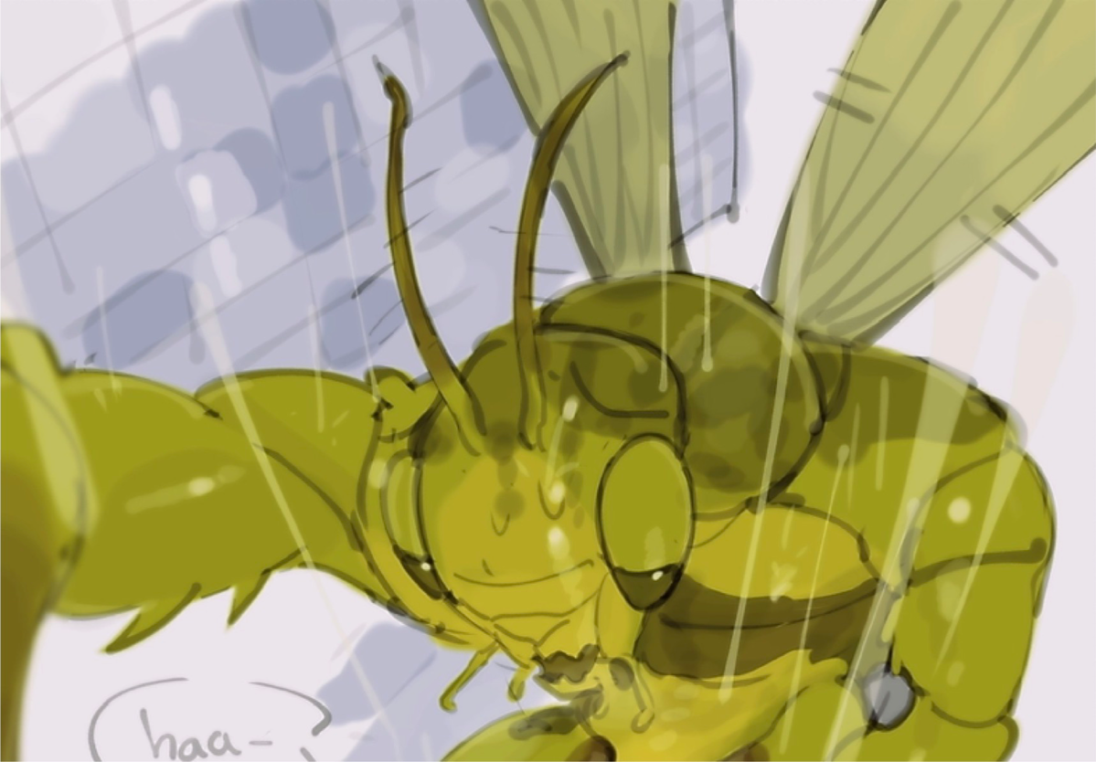 Grasshopper 