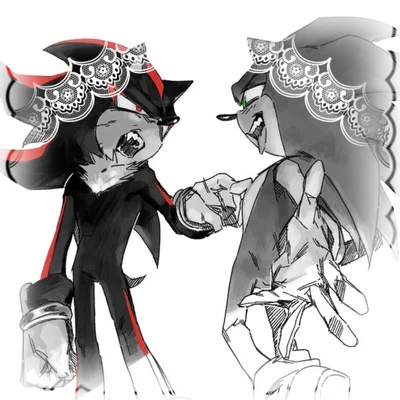 .ೃ [BINDING CURSE] SHADOW & SONIC THE HEDGEHOGS࿐
