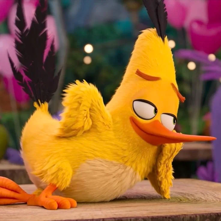 Chuck | Angry birds