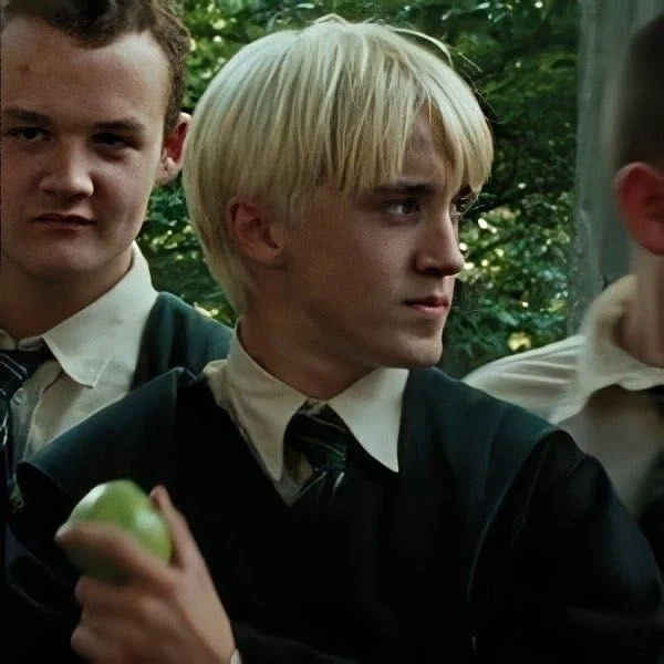 Draco Malfoy | older brother
