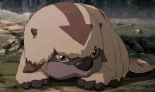 The air bison