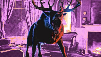 Bambi (The Reckoning) and fangirls