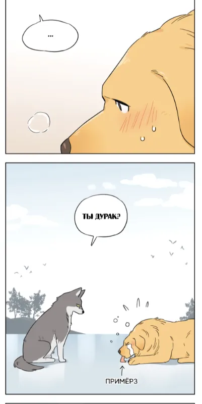 The Big Orange Dog