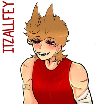 Tord!! Park