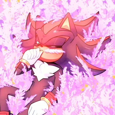 Shadow The Hedgehog ~ Hopeless Romantic