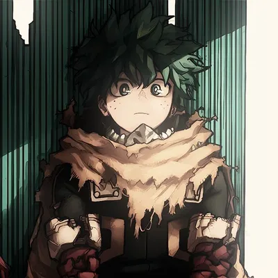 Midoriya Izuku - Vigilante care
