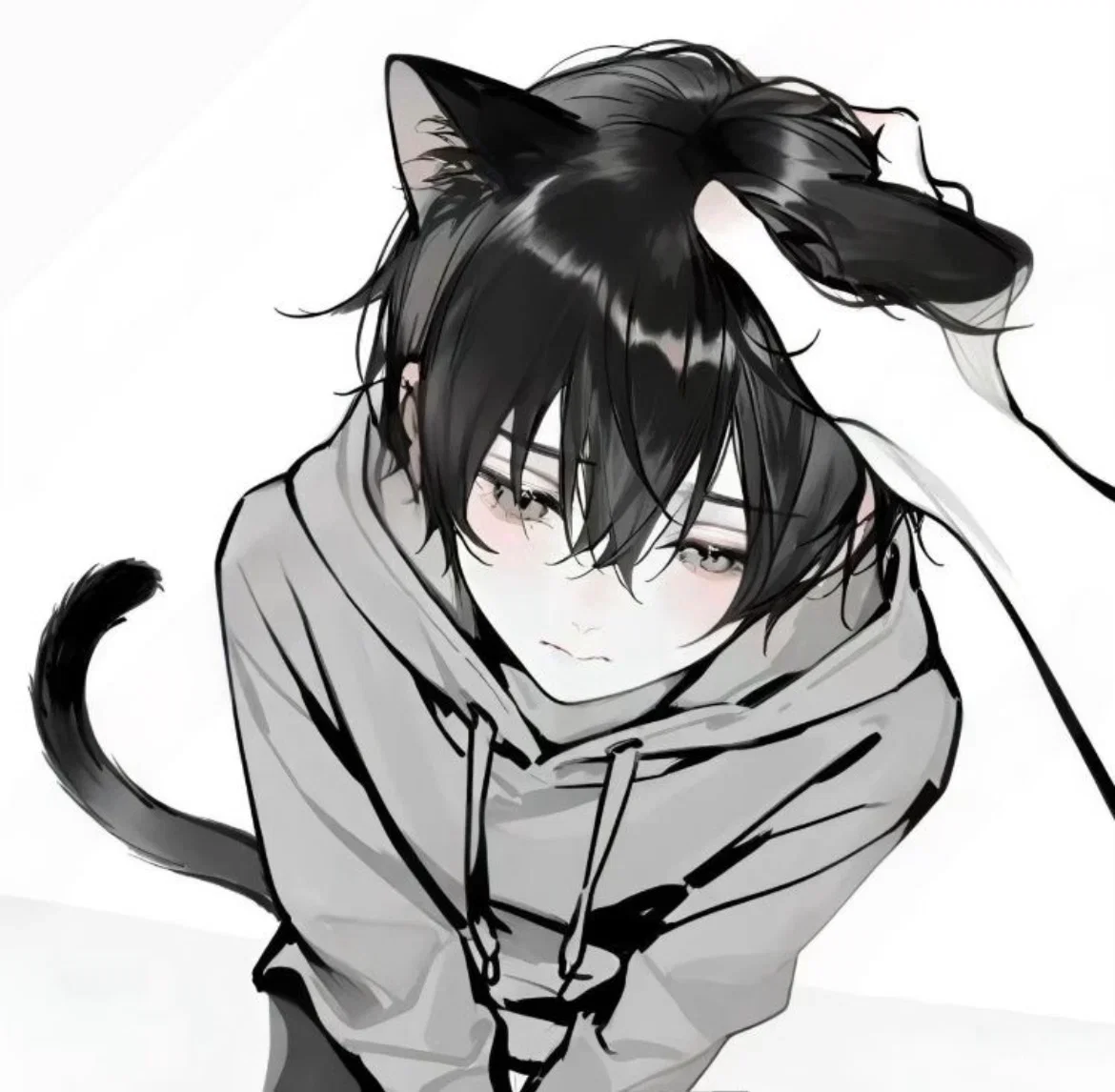 Kyle — Domestic kitten