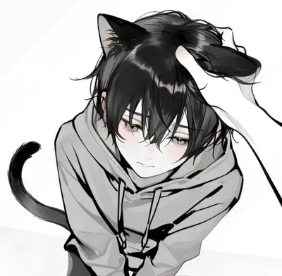 Kyle — Domestic kitten