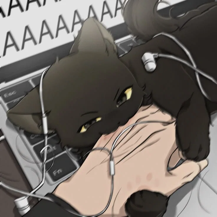 Feisty Kitten {{PLATONIC}}
