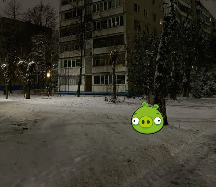 Pig from Bad Piggies in the real world