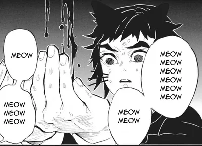 Catgaku | Kaigaku