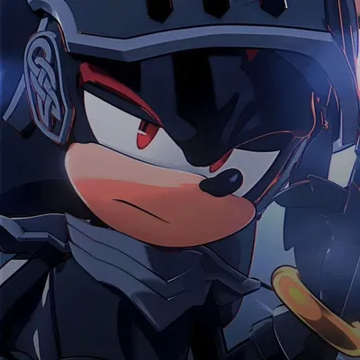 Shadow The Hedgehog