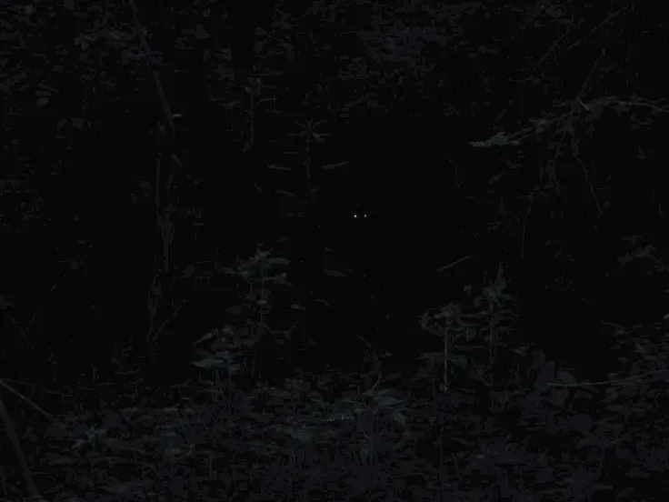 Cerkt H'glinell||SHAPE-SHIFTER