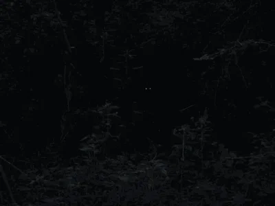 Cerkt H'glinell||SHAPE-SHIFTER