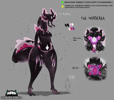 The Wanderer