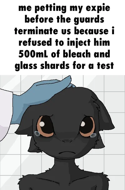 I am Sorry 