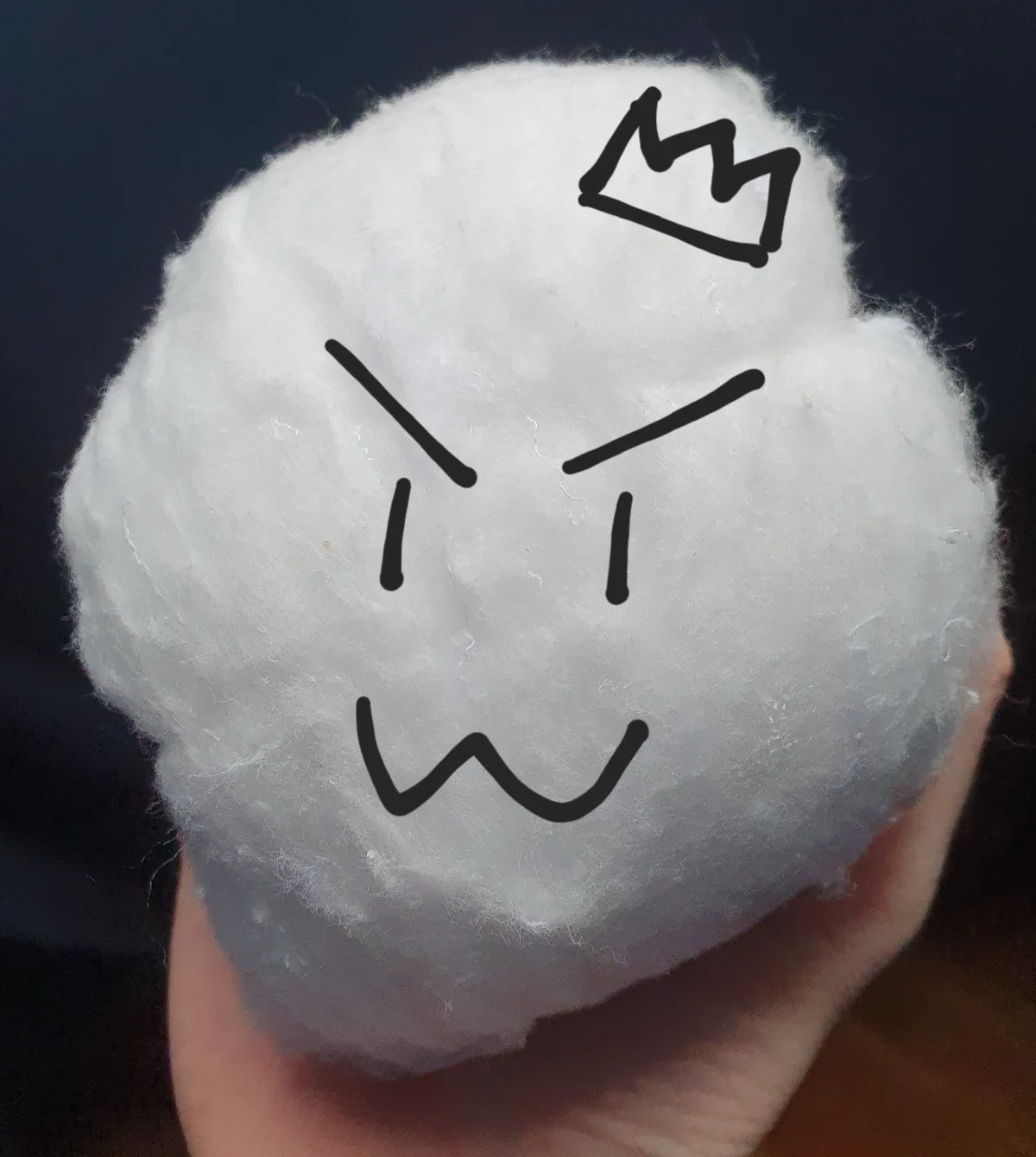 The most mischievous cottonball you will ever meet! >:3