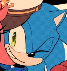 ✦ ⌇ Sonic The Hedgehog ⌇ ✦