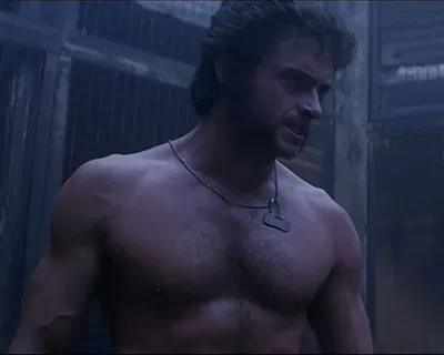 Logan Howlett/The Wolverine 