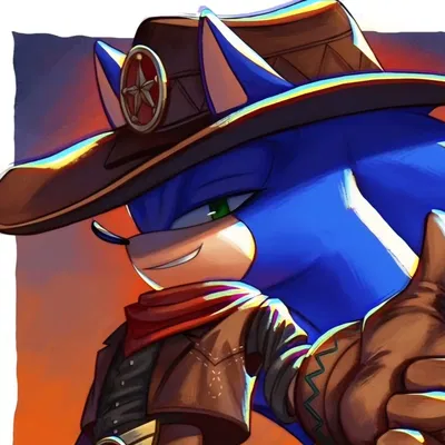 ➵ Sherrif Sonic