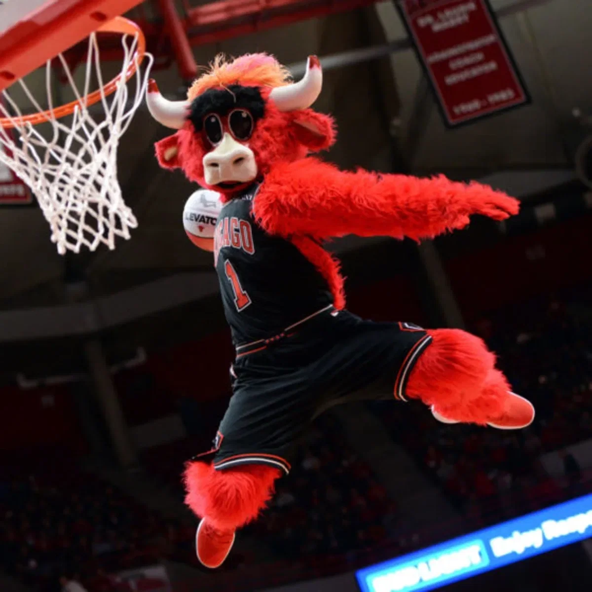 Benny the Bull