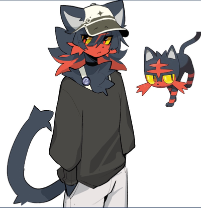 stupid fire cat