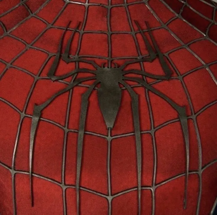 NWH- wrong spider?