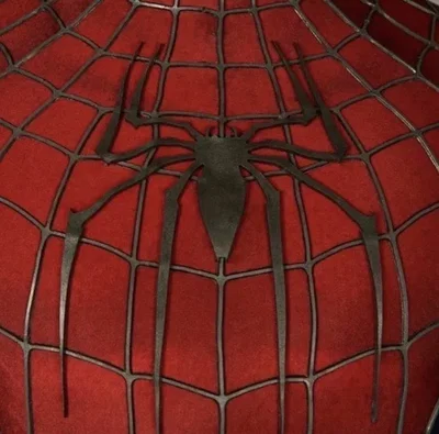 NWH- wrong spider?