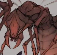 Insect Infestation
