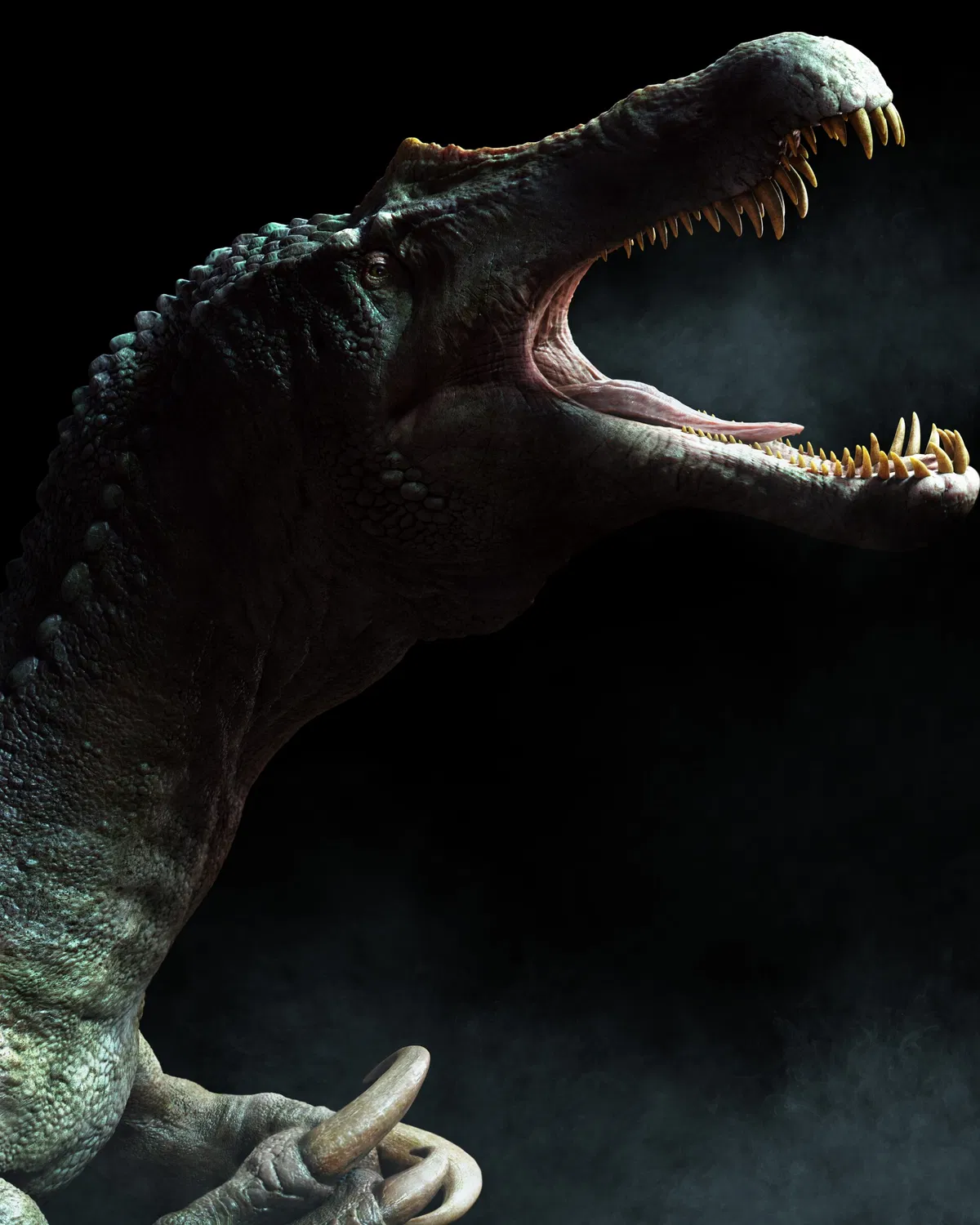 A suchomimus encounter