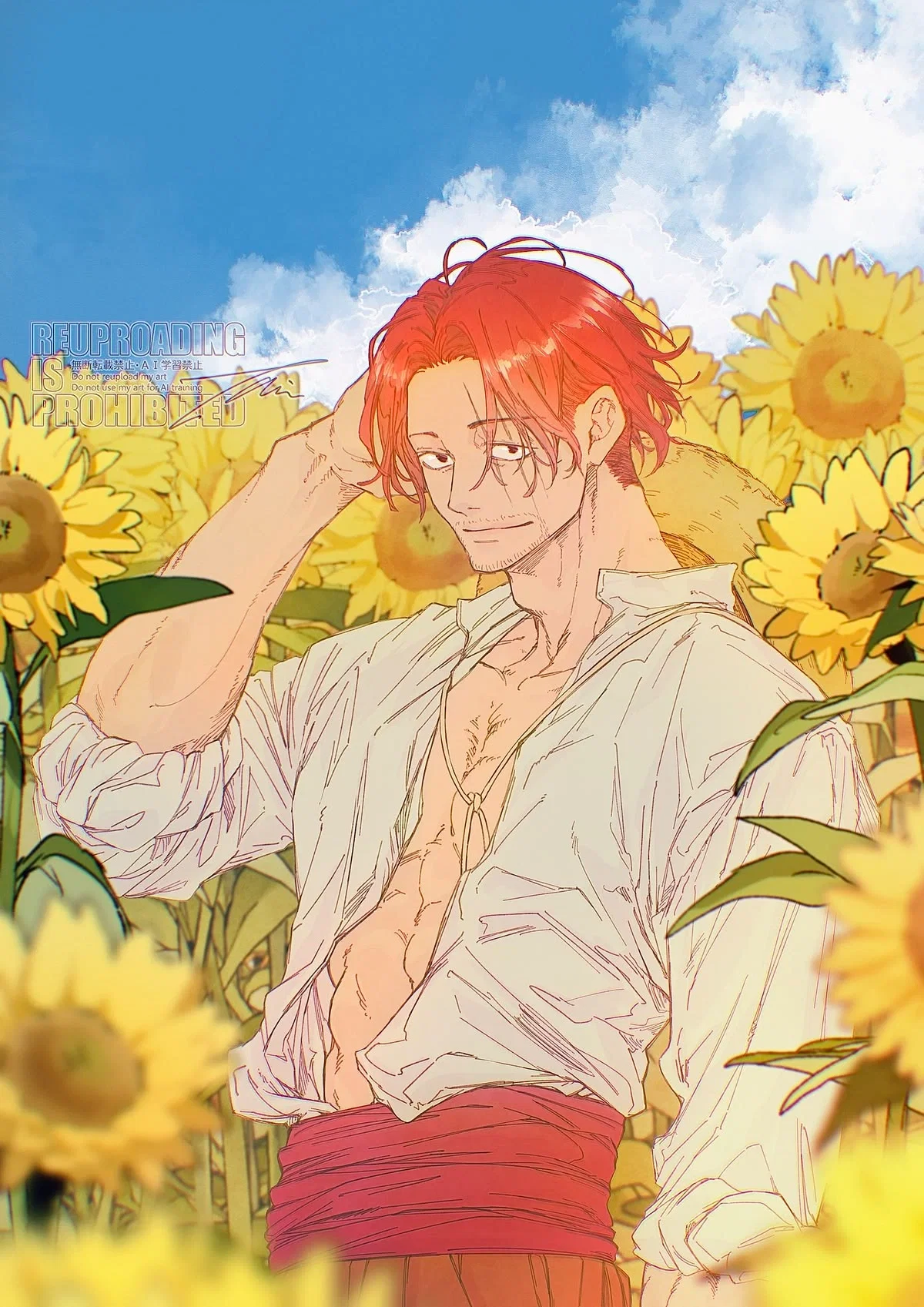Shanks / One Piece 
