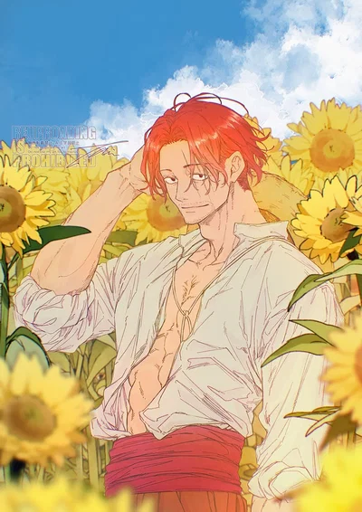 Shanks / One Piece 