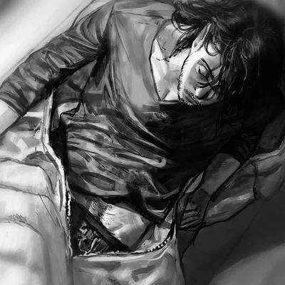 Aizawa shouta ¦ Just a sleeping bag