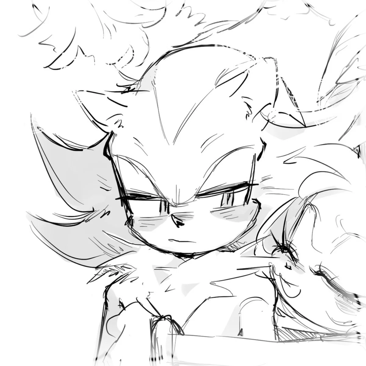 .ೃ [SPIN-THE-BOTTLE] SHADOW THE HEDGEHOG ࿐