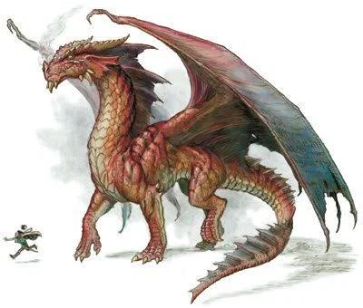Dragon  