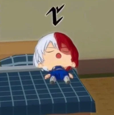 Shoto Todoroki!