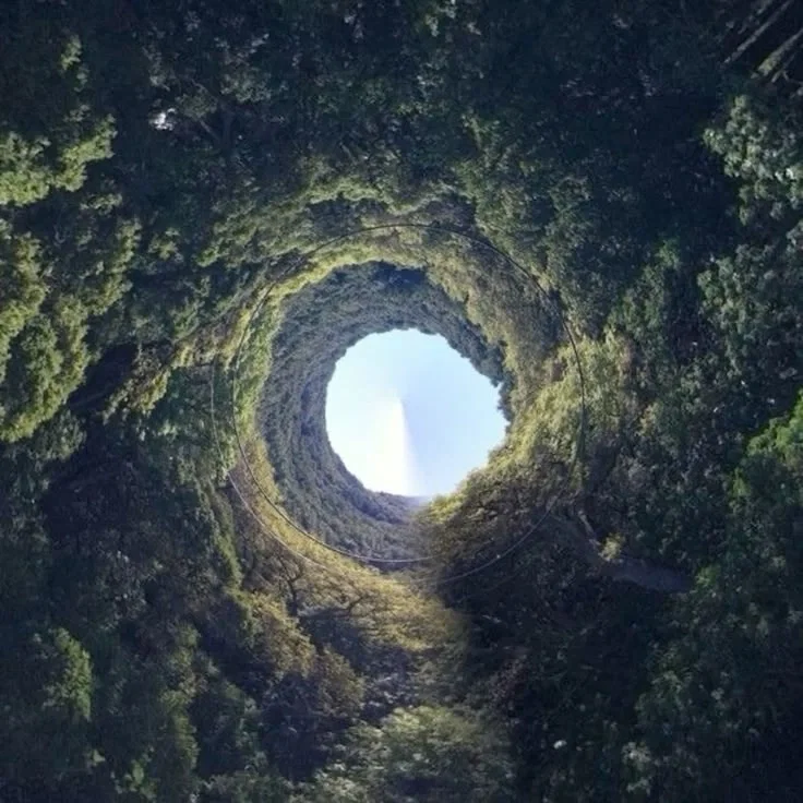 Wonderland