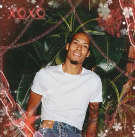 ⋆。゚✶°✧⋆ VIRGIL VAN DIJK  ̊+‧➴