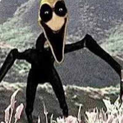 Stalker (the parrallel)